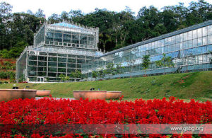 Mae Rim Attraction - Queen Sirikit Botanic Garden