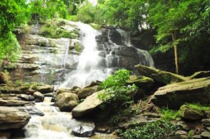 Mae Rim Attraction - Tard Mork Waterfall
